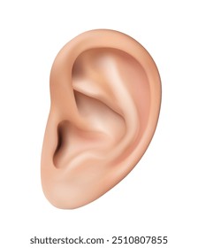 3d realistic vector icon illustration. Human ear, isolated on white background.