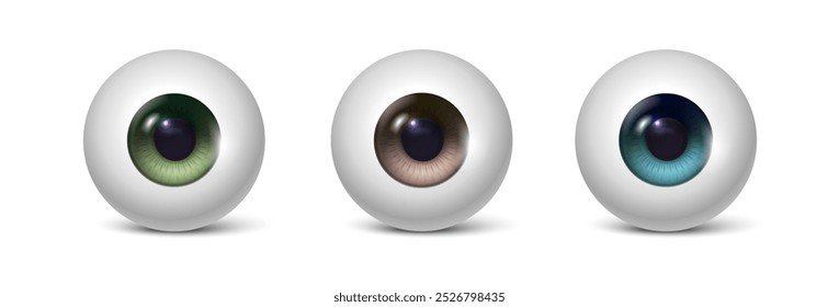 Ilustración realista del icono del Vector 3D. Conjunto de bolas de ojos de diferentes colores en verde, marrón y azul. Aislado. Anatomía humana.