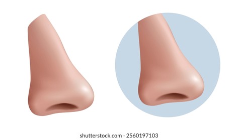 3d realistic vector icon illustration. Human nose profile. Man anatomy, body parts, respiratory elements.