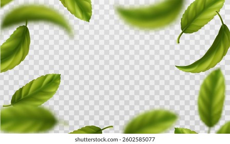 3d realistic vector icon illustration. Frame made of green tea leaves isolated on background. 