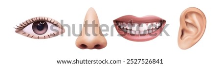 3d realistic vector icon illustration. Five sences concept, eye, nose, mouth, ear. Hearing, smelling, seeing, tasting. Human anatomy.