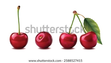 3d realistic vector icon illustration. Fresh red cherries with stem and leaf or without. Isolated on white background.