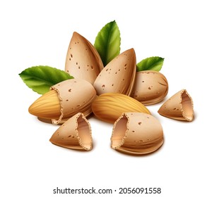 Icono vectorial 3d realista.  Aislado sobre fondo blanco. Cubierta de almendra y nuez con hojas.