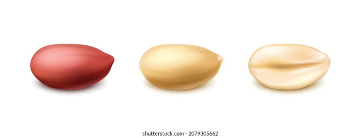 Icono vectorial 3d realista. Las peras se ponen con o sin cáscara y se cortan a la mitad.