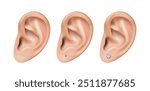 3d realistic vector icon set. Human ears. Piersed ear or with diamond earring stood.