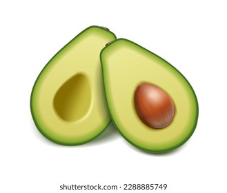 3d realistic vector icon set. Raped green avocado and half sliced.