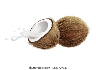 3d realistic vector illustration. Coconuts and spray of milk isolated on white background. Tropical fruits for your design.
