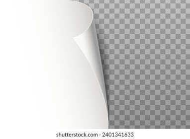 3d realistic vector illustration. Curled paper corner.