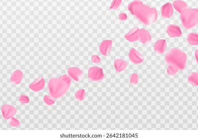 3d realistic vector illustration. Pink sakura petals falling isolated on transparent background.Beauty and cosmetic background presentation.