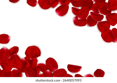 3d realistic vector illustration. Red rose falling petals frame border on white background. Beauty and cosmetic background presentation.