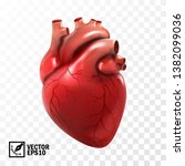 3d realistic vector isolated human heart. Anatomically correct heart with venous system