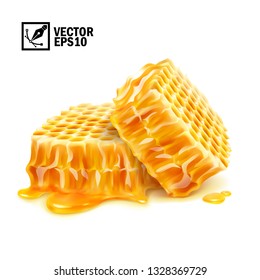 3d realistic vector isolated two honeycomb slices in honey puddle