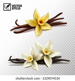 3d realistic vector isolated vanilla sticks and vanilla flowers in yellow and white