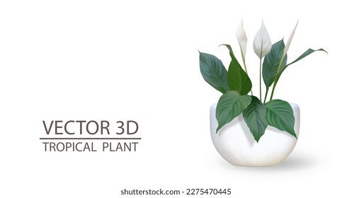 3 d cacerola vectorial realista con planta trópica para el diseño de la decoración interior. Cuchara de flores de grano aislada sobre fondo blanco.