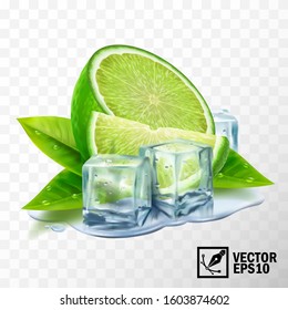 3D realistic vector set of elements lime with mint or tea leaves and ice cubes, half lime, sliced lime, leaves, puddle water