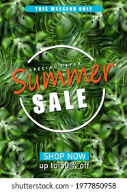 3d realistic vector summer sale banner template with exotic palm leaves.