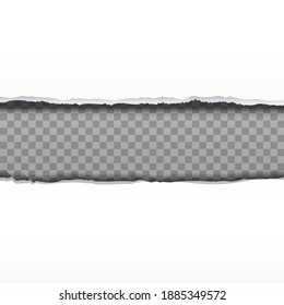3d realistic vector torn paper cut background, white paper sheet and cut in the middle with transparent background.