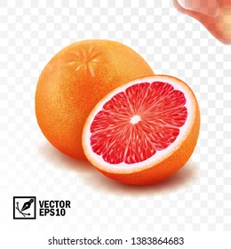 3d realistic vector whole and cut half of grapefruit, editable handmade mesh
