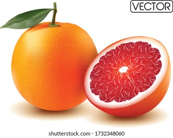 3d realistic vector whole and cut half of grapefruit, editable handmade mesh
