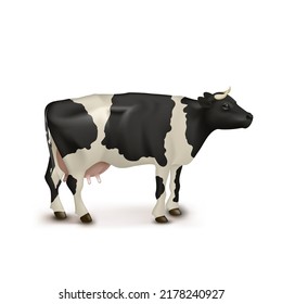 3D Realistic White With Black Spots Cow Right Side View Isolated On White Background. EPS10 Vector