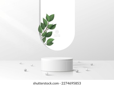 3D realistic white cylinder pedestal podium background with green leaf in arch shape window. Wall minimal scene mockup products stage showcase, Banner promotion display. Vector abstract empty room.