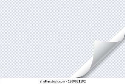 3D Realistic White Paper Corner With Shadow On Transparent Background. 3D Page Corner Curled. Bending Paper Mockup. Paper Sheet With Curled Corner. Realistic Shadow Isolated On Transparent Background.