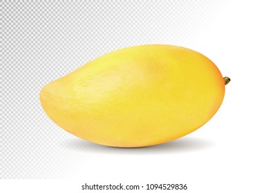3D realistic yellow mango on transparent background, mesh vector illustration.