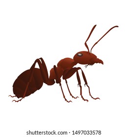 3D red ant insect vector design for art or other fields