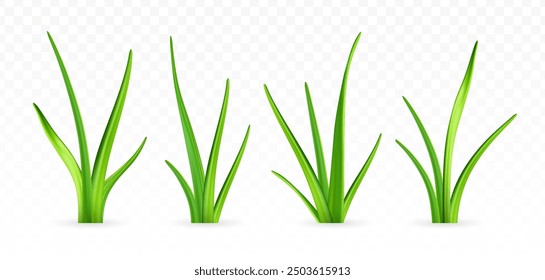 3d render collection of green grass and lawn, set of vector plants on isolated white background, realistic design element, nature icons.