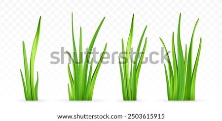 3d render collection of green grass and lawn, set of vector plants on isolated white background, realistic design element, nature icons.