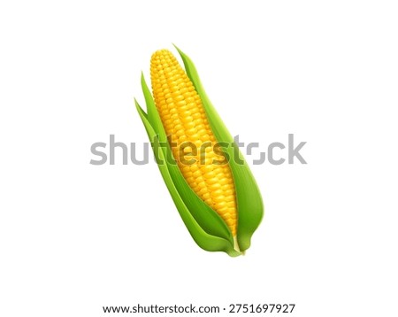 3D render of fresh corn cob with detailed yellow kernels, organic farm vegetable isolated on white background for agriculture food nutrition healthy cooking concept