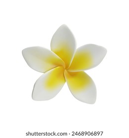 3d render Plumeria tropical flowers 3d vector of exotic flowering plants. Realistic blossom of Hawaiian frangipani petals. Thailand and Bali national symbol in clay style. Amazing Asian vacation