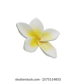 3d render Plumeria tropical flowers vector of exotic flowering plants 3. Realistic blossom of Hawaiian frangipani petals. Thailand and Bali national symbol in clay style. Amazing Asian vacation