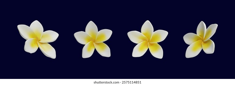 3d render set Plumeria tropical flowers vector of exotic flowering plants. Realistic blossom collection of Hawaiian frangipani petals. Thailand and Bali national symbol in clay style. Amazing vacation