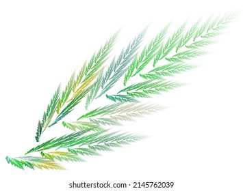3D rendered leaf on a transparent background