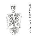 3d rendered vector illustration of a human skeleton with halftone stipple effect. Realistic human skull in photocopy vector effect. Collage element in trendy grunge y2k style.