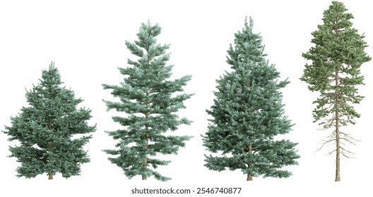 Representación 3D del árbol de Abies sobre fondo transparente