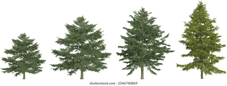 Representación 3d de Abies, árbol de cedro sobre fondo transparente