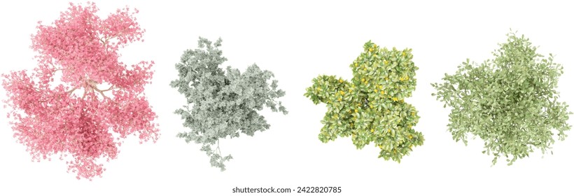 3d rendering of Chorisia Speciosa,Citrus Sinensyscolors,Clusia Rosea,Conocarpus Erectus trees from top view