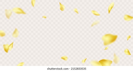 3d rendering of falling sunflower petals on a white background