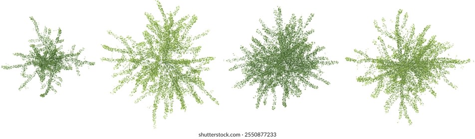 3d rendering of Ginkgo plants on transparent background from top view