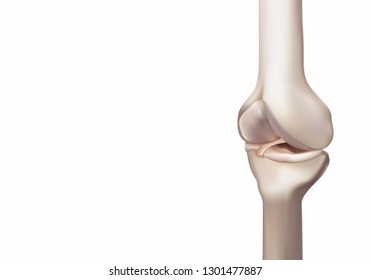 3D rendering, illustrations of human and medical knee science