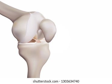 3D rendering, illustrations of human and medical knee science