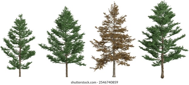 3d rendering of Larix tree on transparent background