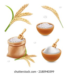 3d rice bag. Sack with grain, rice sereals, bowl with flour. farm products. Vector