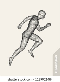 3d running man. Design for sport, business, science and technology. Vector illustration. Human body.