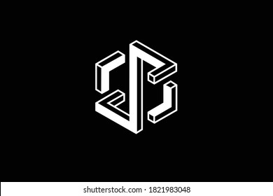 Diseño del logotipo de la carta 3D S sobre fondo de lujo. Concepto del logotipo de la letra 3D SS en monograma. Diseño de icono S. Diseño de iconos de letras blancas elegantes y profesionales en el fondo negro. S SS