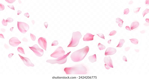 3d sakura falling petals. Realistic flying petal of blossom japanese cherry or rose flowers, panoramic wedding wallpaper or cosmetic ad spring background vector illustration of blossom flower sakura