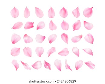 3d sakura petals. Realistic blossom cherry or real rose pink petal closeup, spring falling scent flowers in pastel watercolor gradient, valentine flower exact vector illustration of sakura flower pink