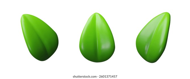 3d set green leaf. Three-dimensional vector collection of plant illustration. Realistic eco element. Environment spring symbol. botanical emblem, ecology energy. Tree design herb
